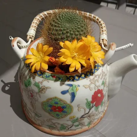Il Giardino Di Ambra Indipendente Hébergement de vacances Viterbe